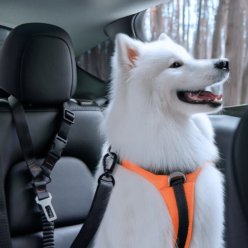 Pet Car Seatbelt